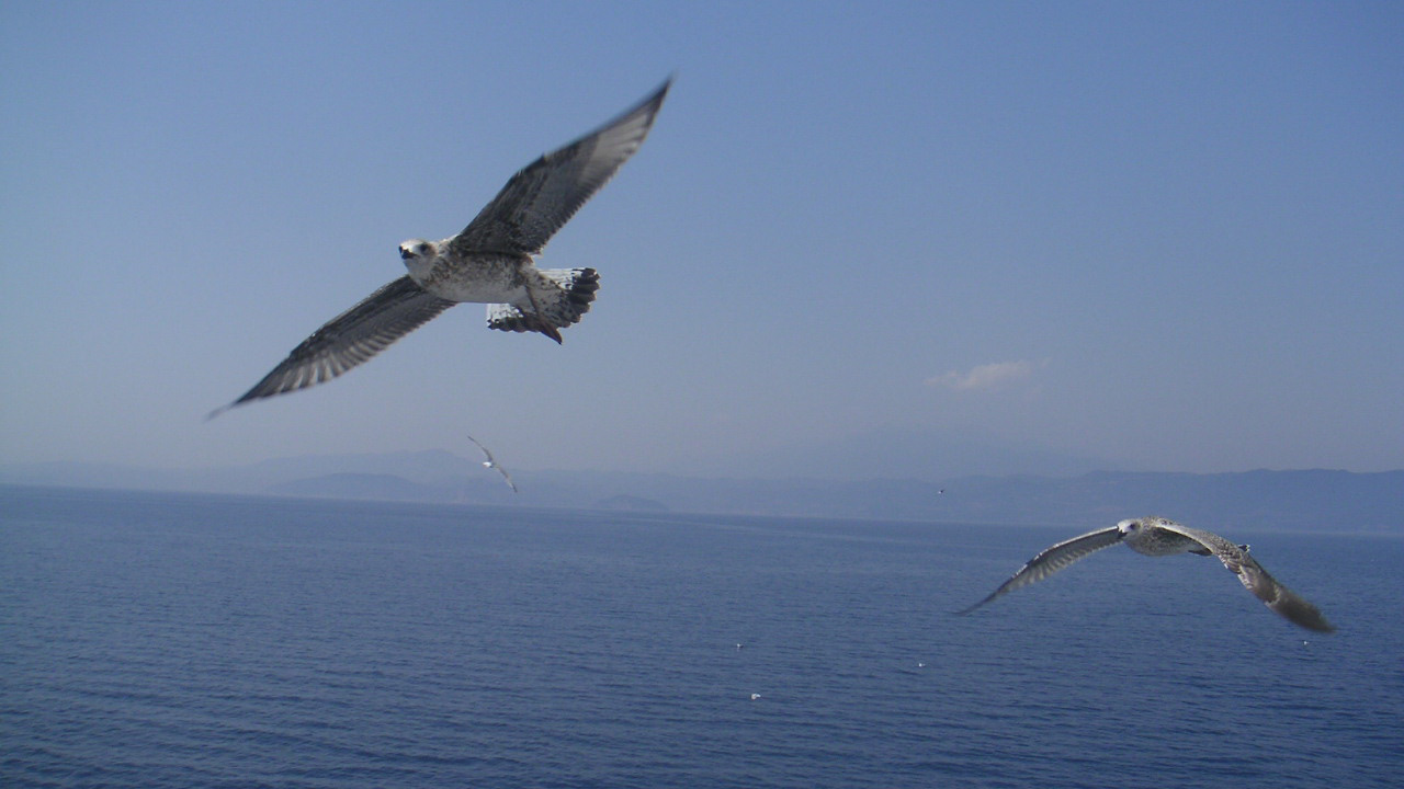 Μεσογειακή ζωή, Μεσόγειος Θάλασσα, μεσογειακή κουζίνα, τουρισμός, γαστρονομία